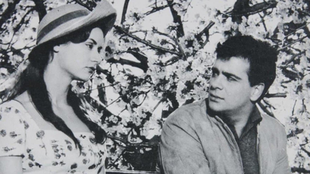 Αμαρυλλίςの背景画像