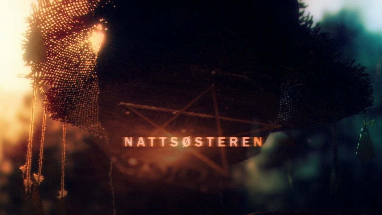 Nattsøsterenの背景画像