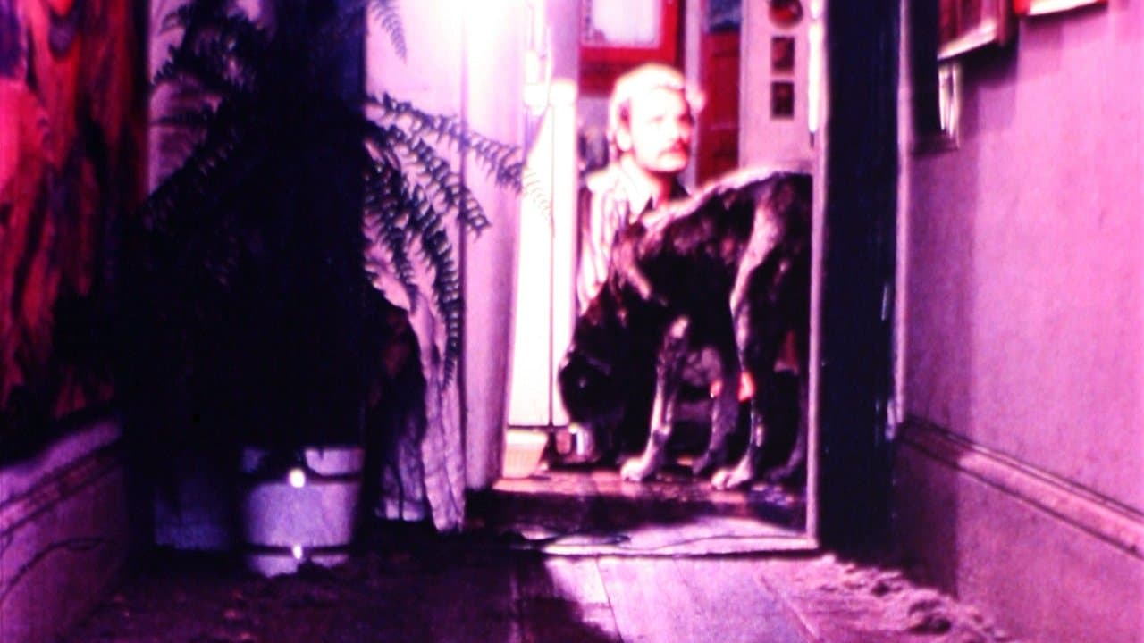 The Mongreloidの背景画像