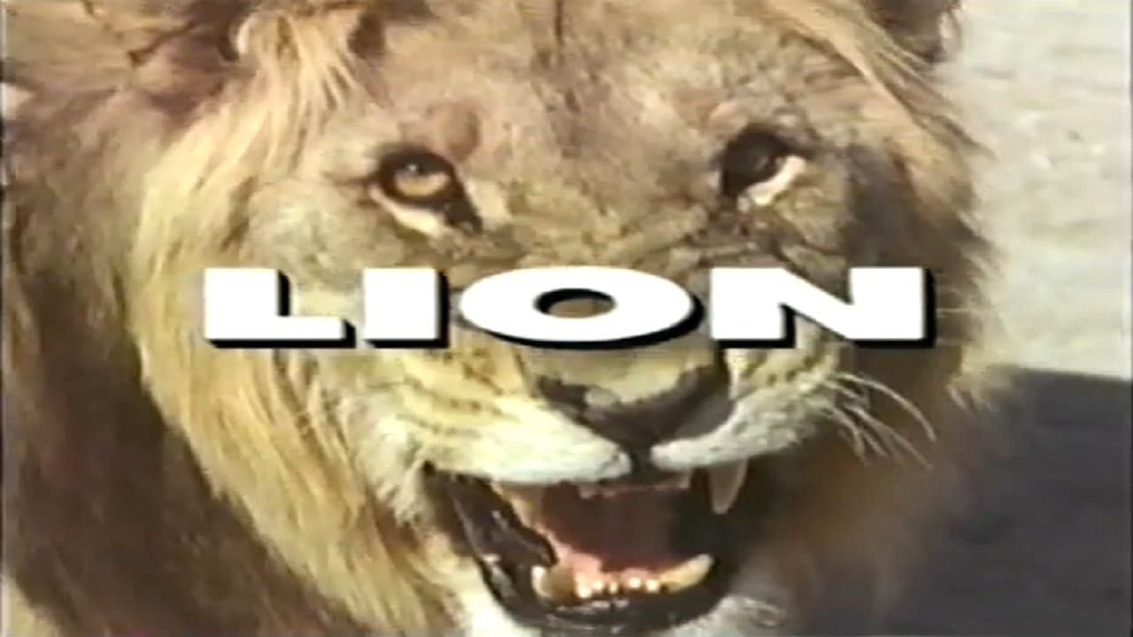 Predators of the Wild: Lionの背景画像