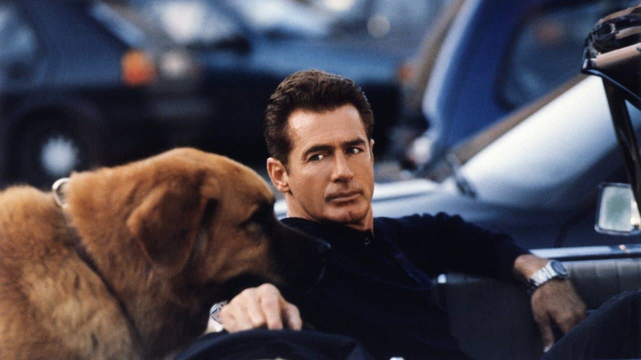 Le Nuove Avventure di Tequila & Bonettiの背景画像