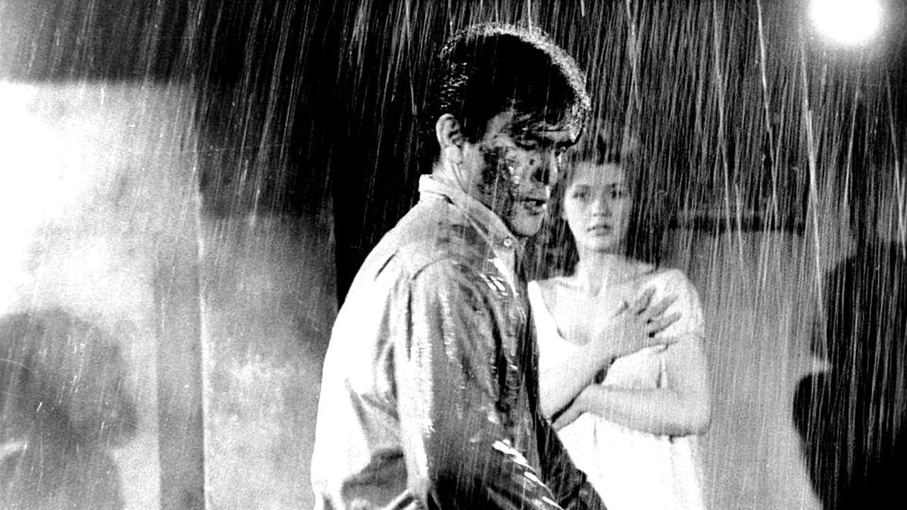 El brutoの背景画像