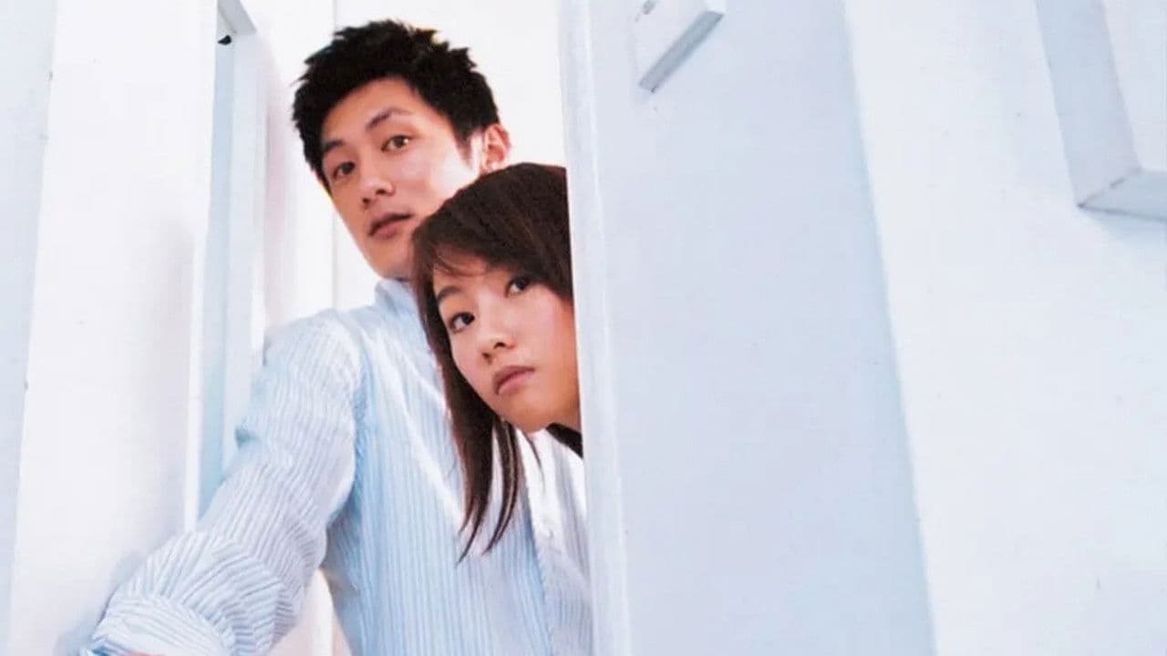 百分百感覺2003の背景画像