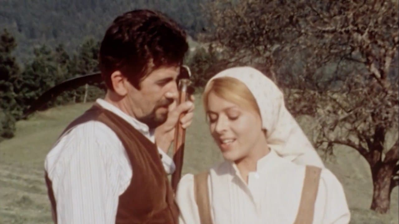 Cvetje v jeseniの背景画像