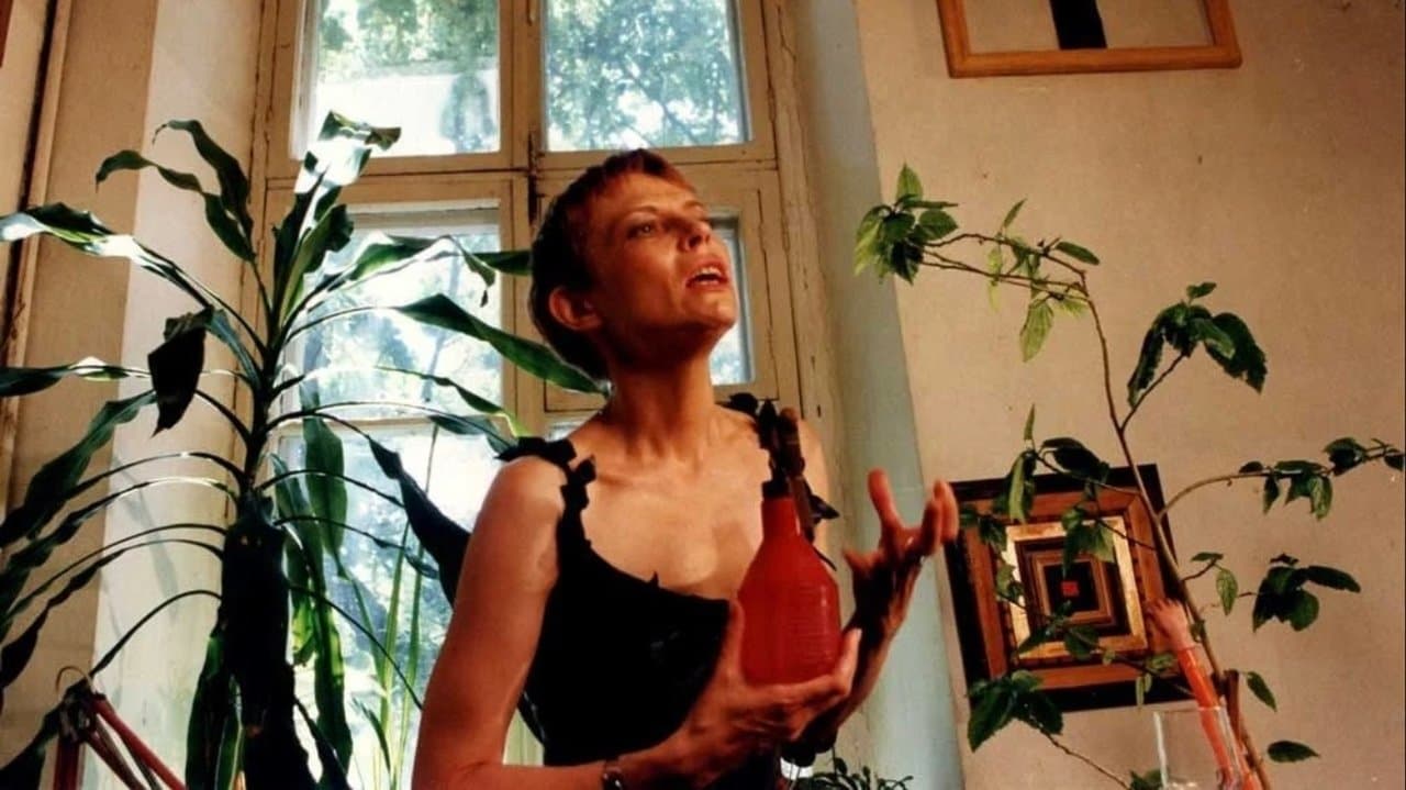 Письмо в Америкуの背景画像