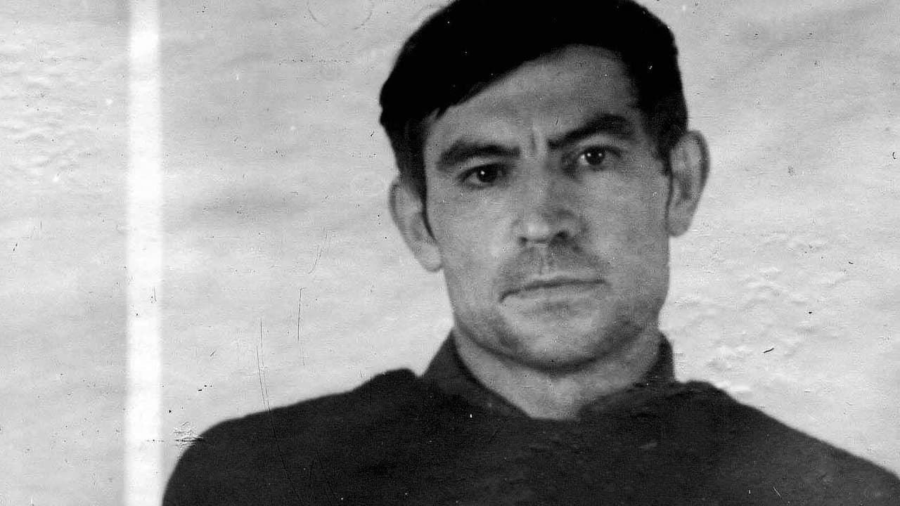 Ваш Васильの背景画像