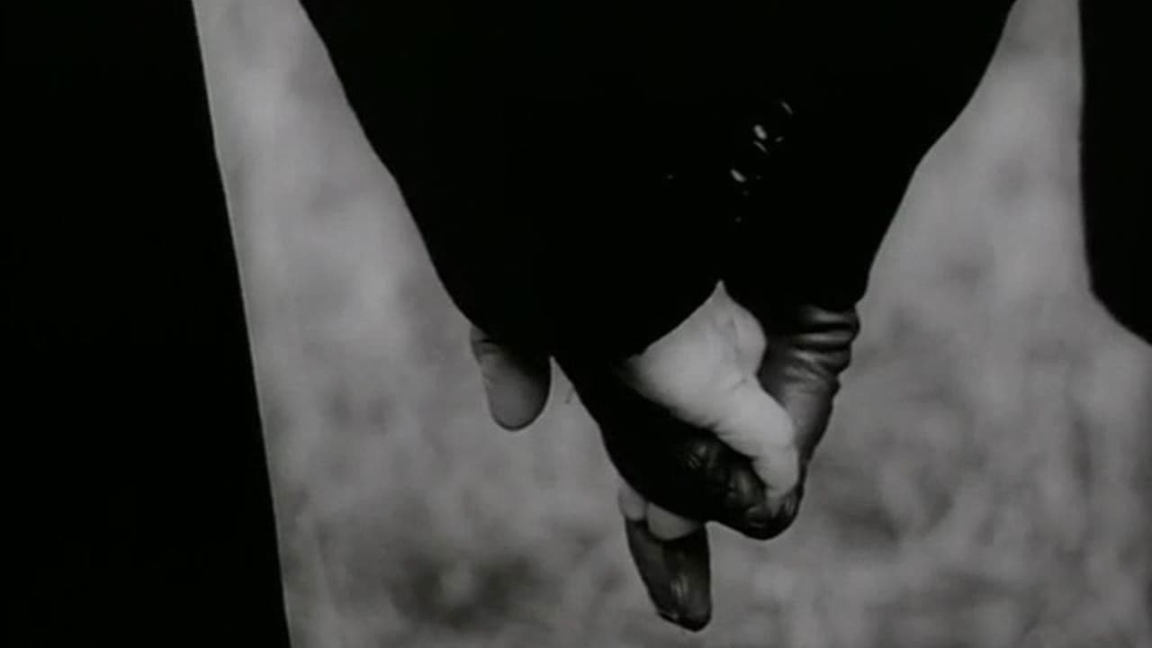 庭園の背景画像