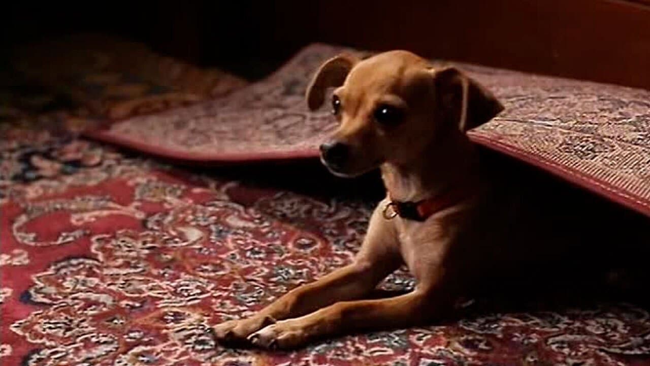 Ping!の背景画像