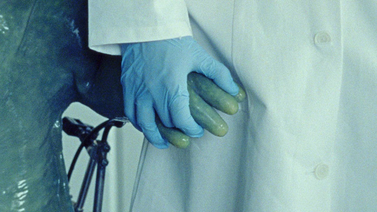 Der Molchkongressの背景画像