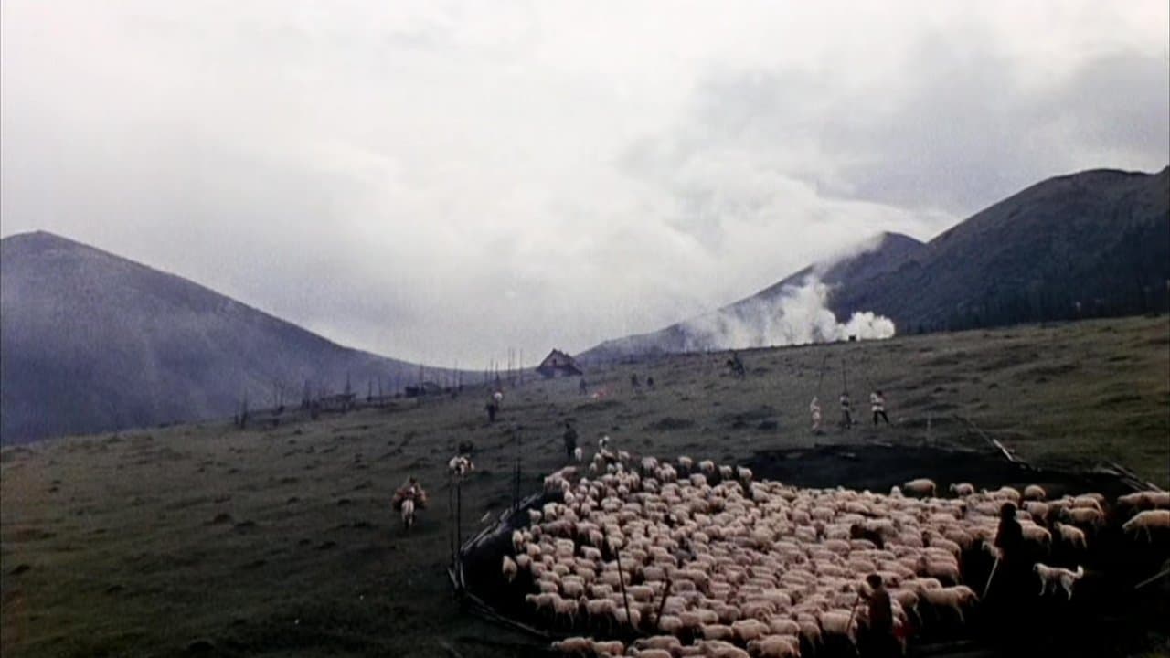 Тіні забутих предківの背景画像