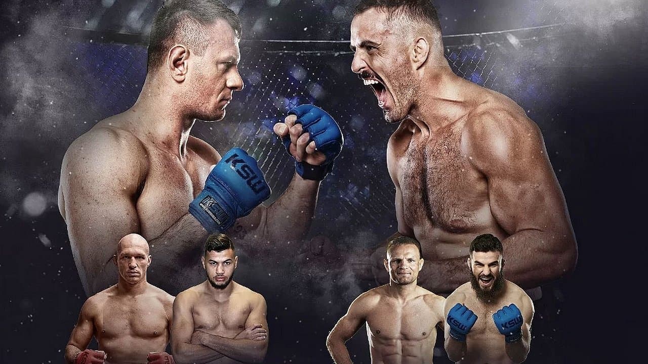 KSW 90: Wrzosek vs. Vitasovićの背景画像