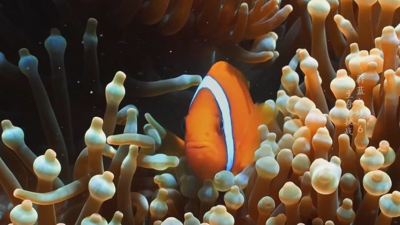 蔚蓝之境の背景画像