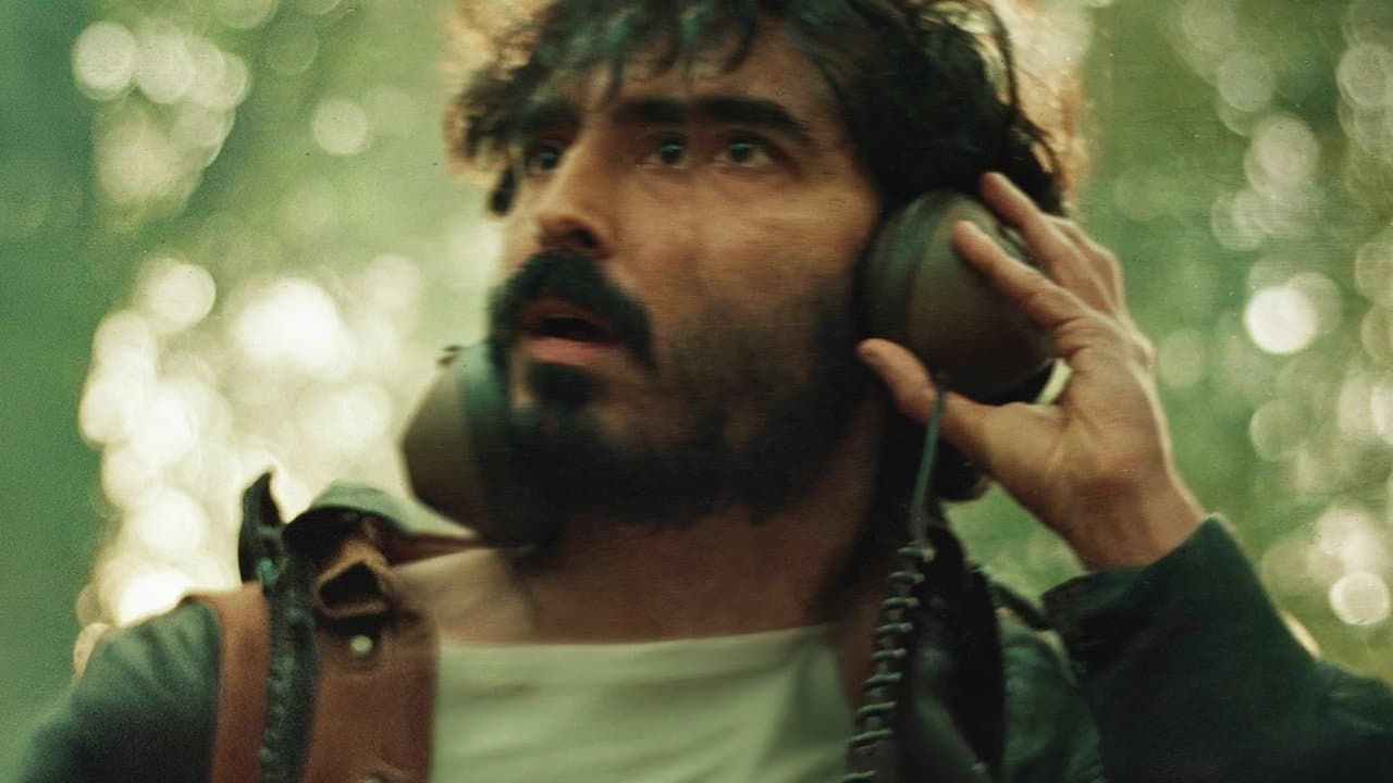 Rabbit Trapの背景画像