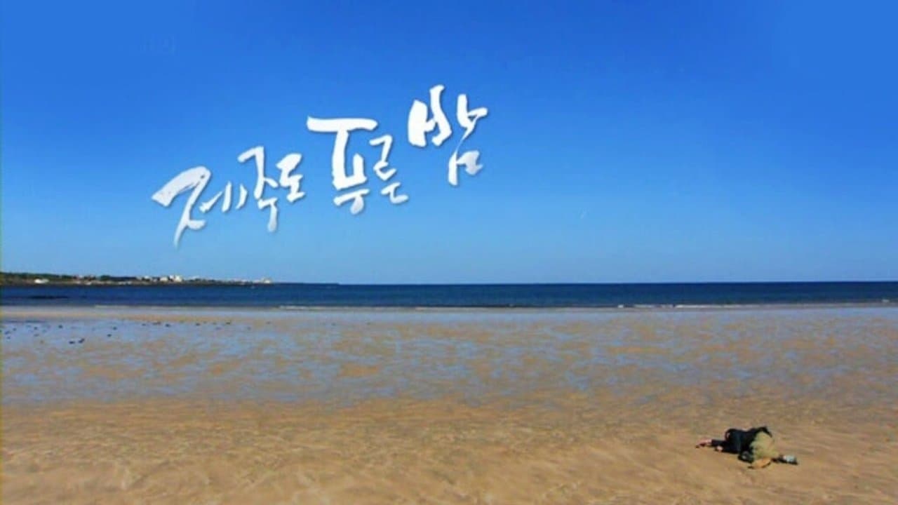 드라마 시티: 제주도 푸른밤の背景画像