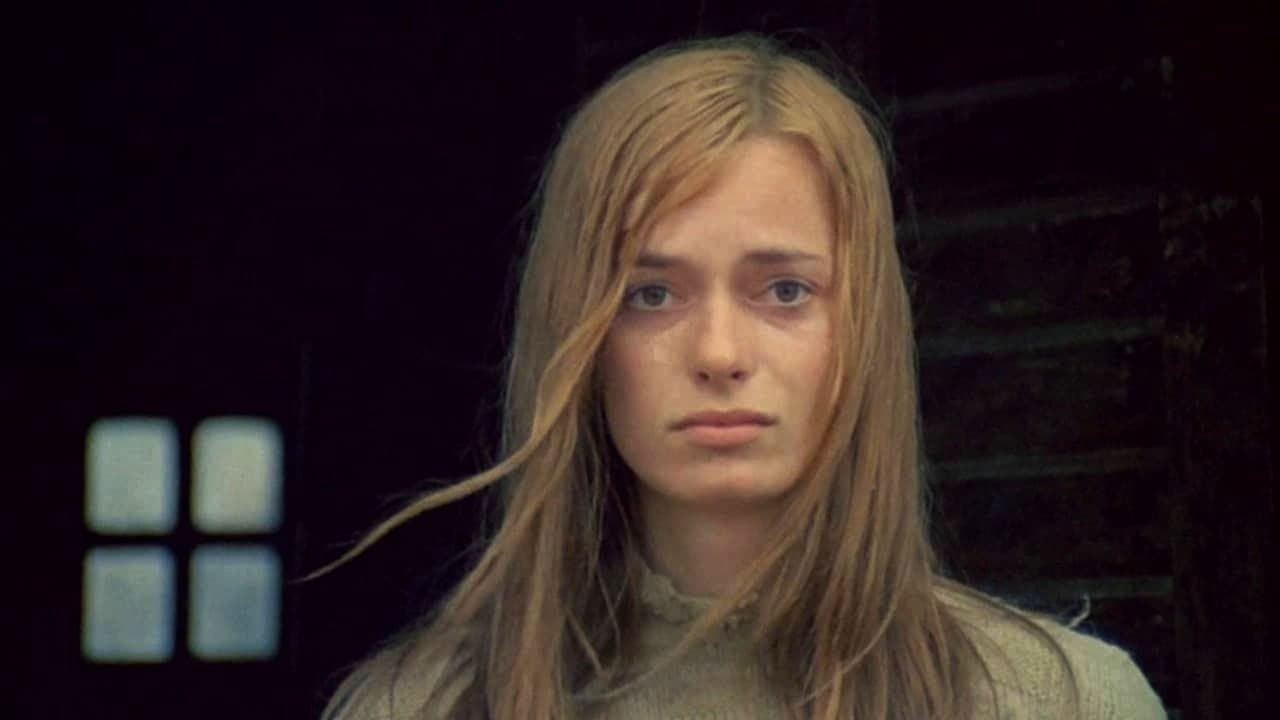 Brezaの背景画像