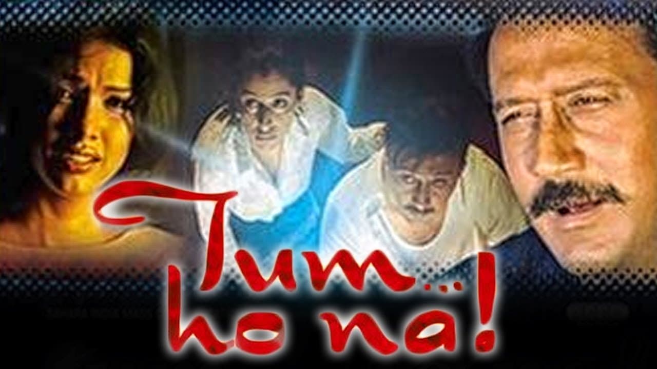 Tum... Ho Na!の背景画像