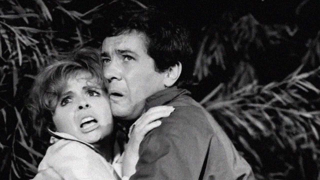 The Bubbleの背景画像