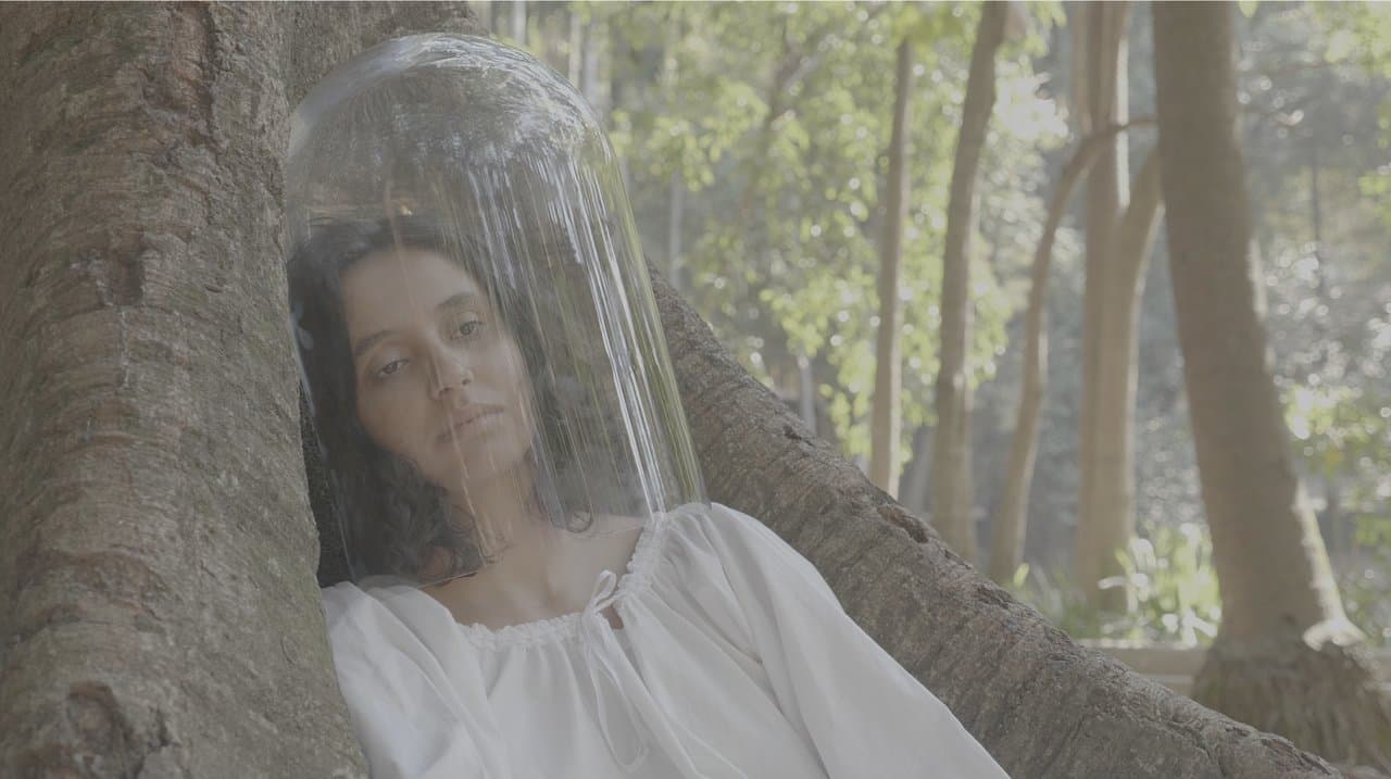 Camaleõesの背景画像