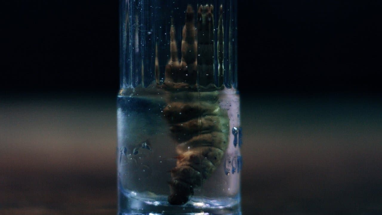 La Brujaの背景画像