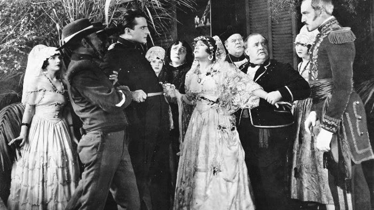 The Spider and the Roseの背景画像