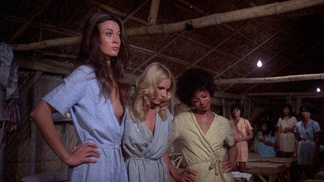 The Big Bird Cageの背景画像