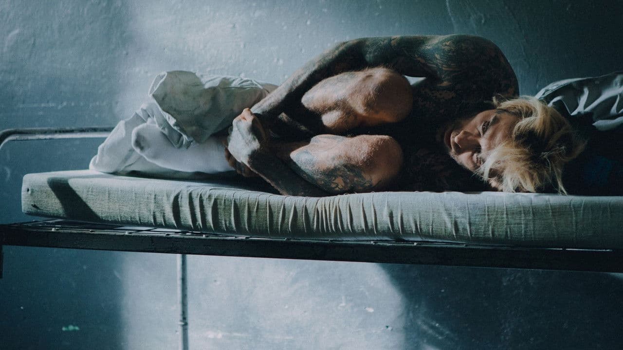 Quebonafide: Północ, Południeの背景画像