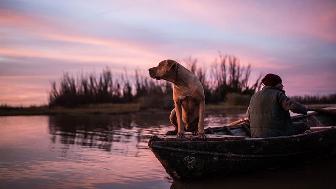 La crecienteの背景画像