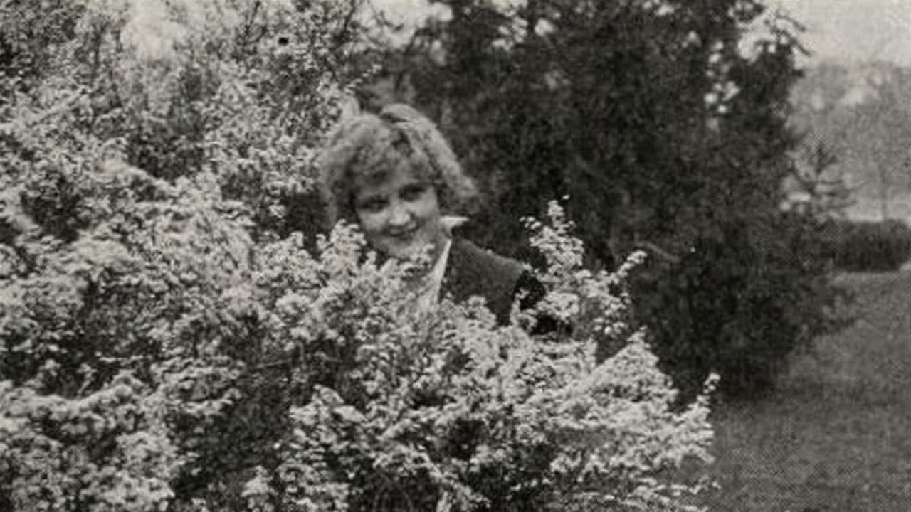 Gambier's Advocateの背景画像