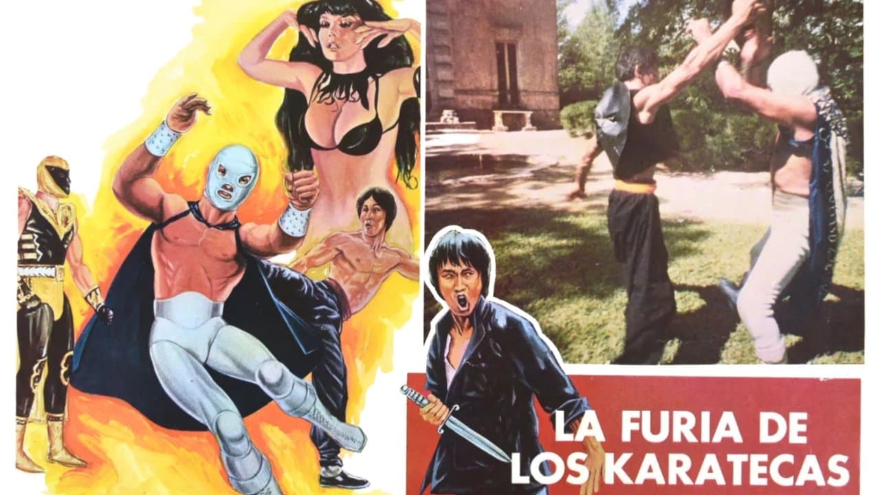 La furia de los karatecasの背景画像