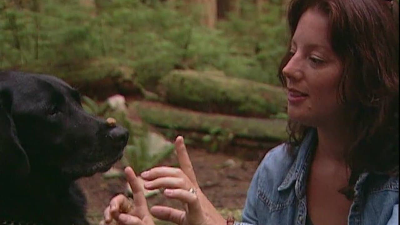 Sarah McLachlan: A Life of Musicの背景画像