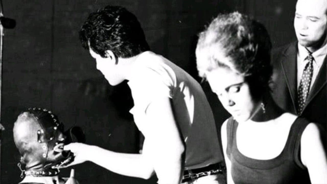 Vinylの背景画像