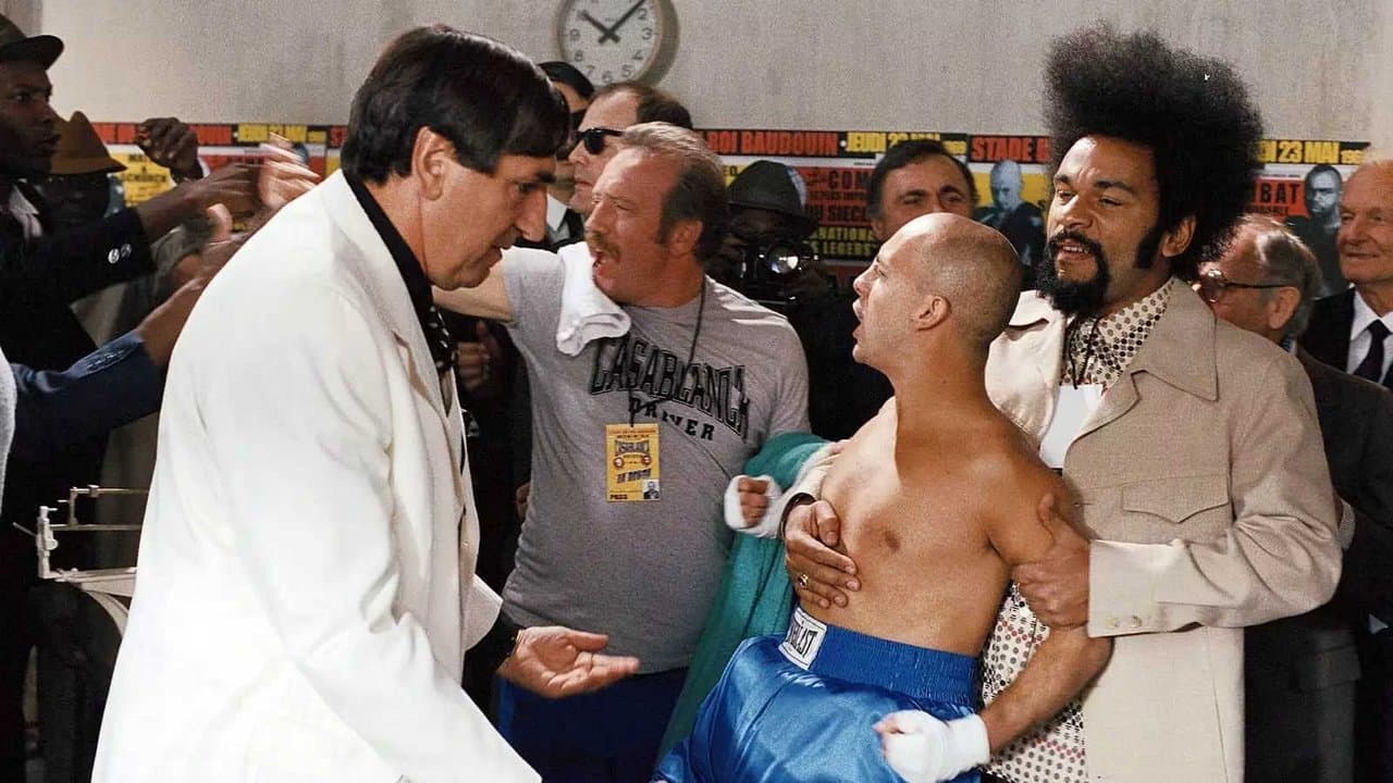 Casablanca Driverの背景画像