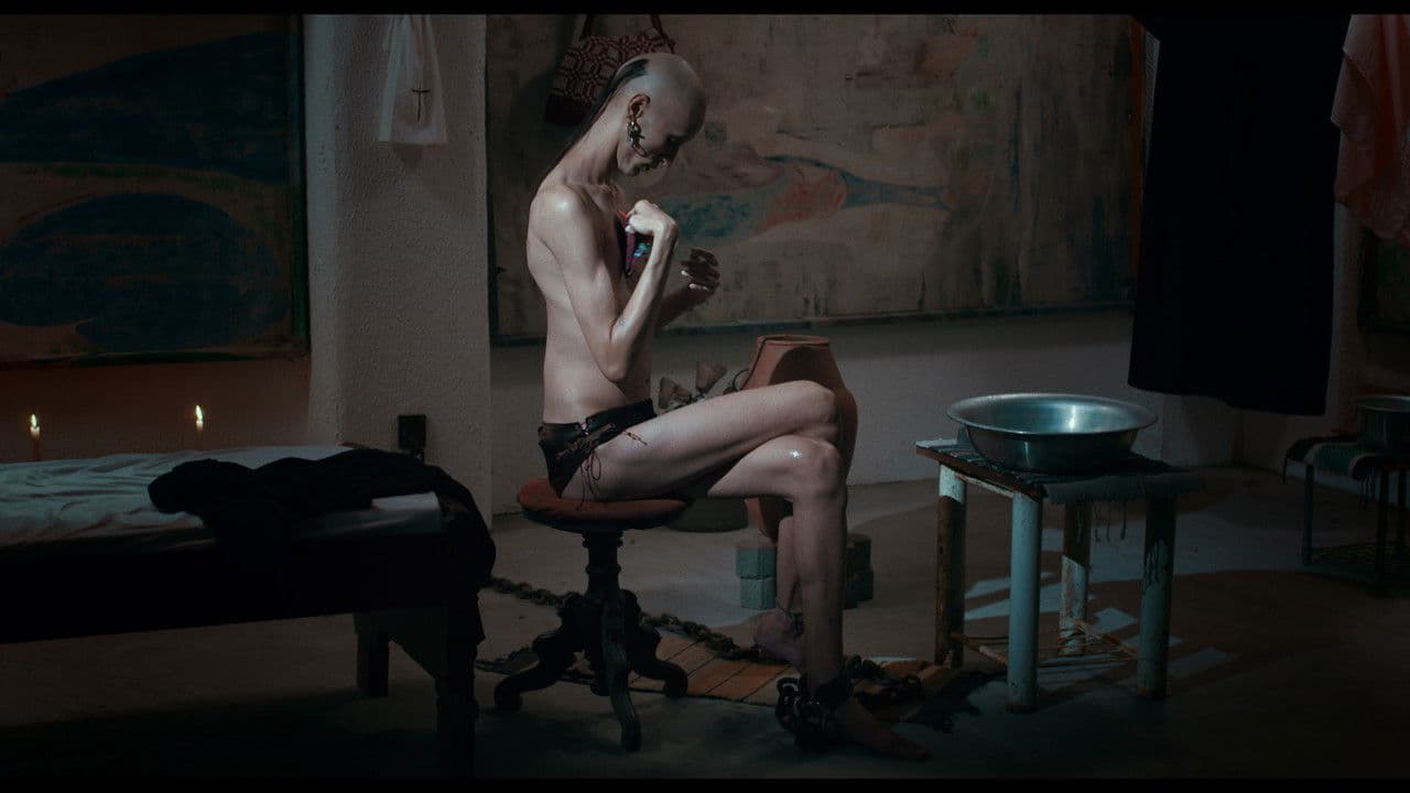 Pop Ritualの背景画像