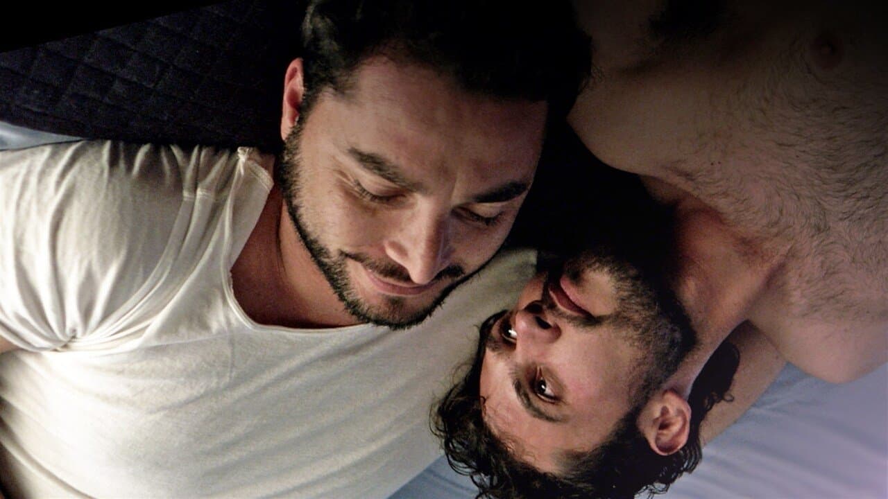 The Latin Boys: Volume 2の背景画像