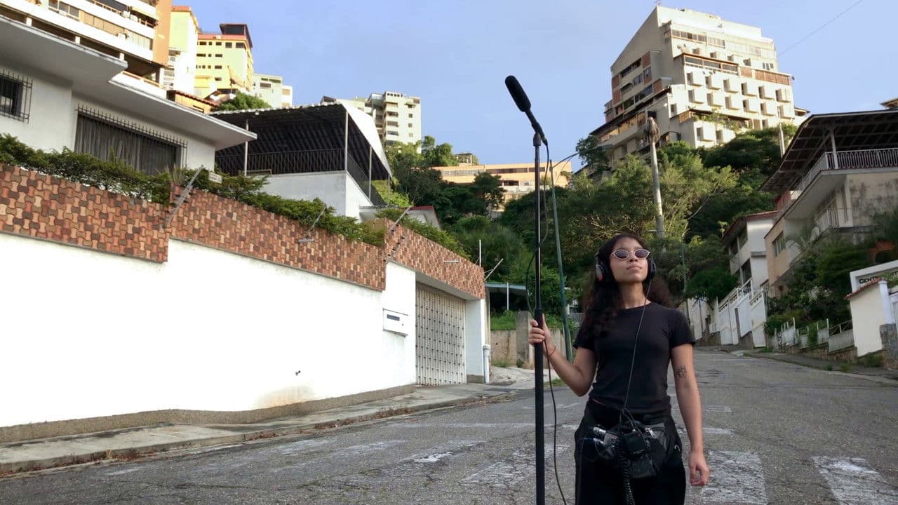 La Sonidistaの背景画像