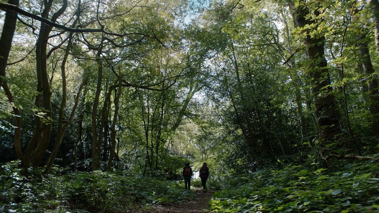 Diggersの背景画像