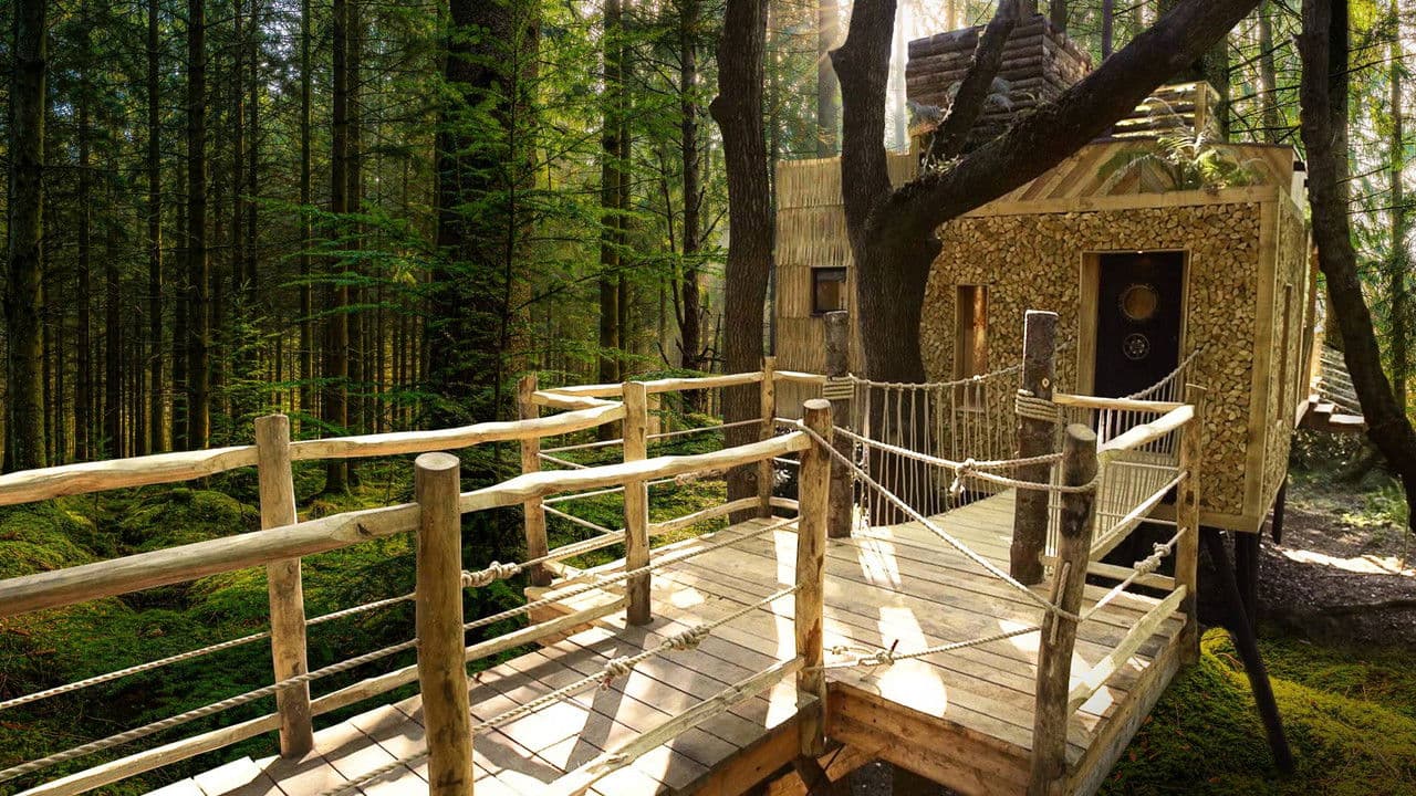 You Live in What? Internationalの背景画像