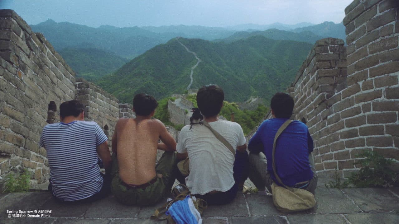 春天的麻雀の背景画像