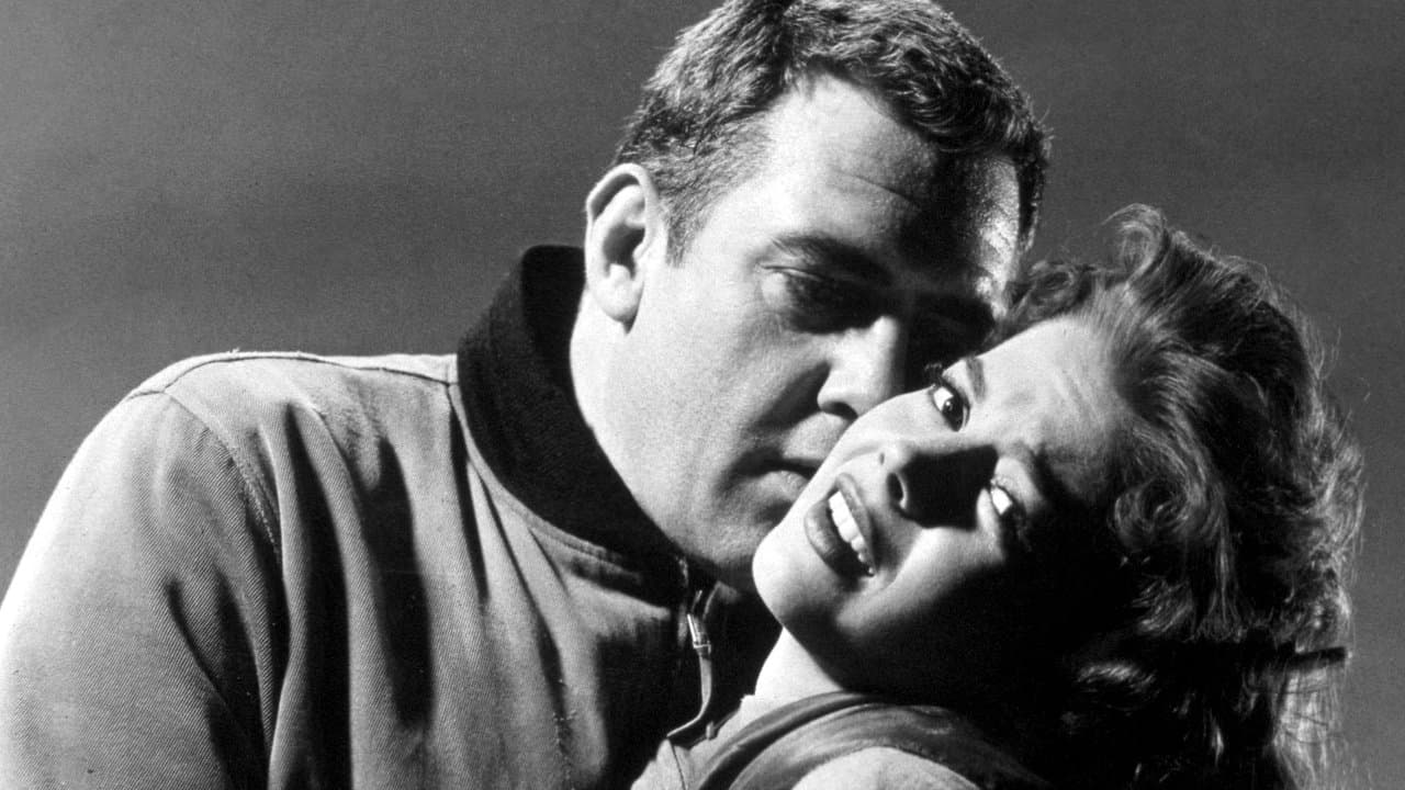 A Cry in the Nightの背景画像