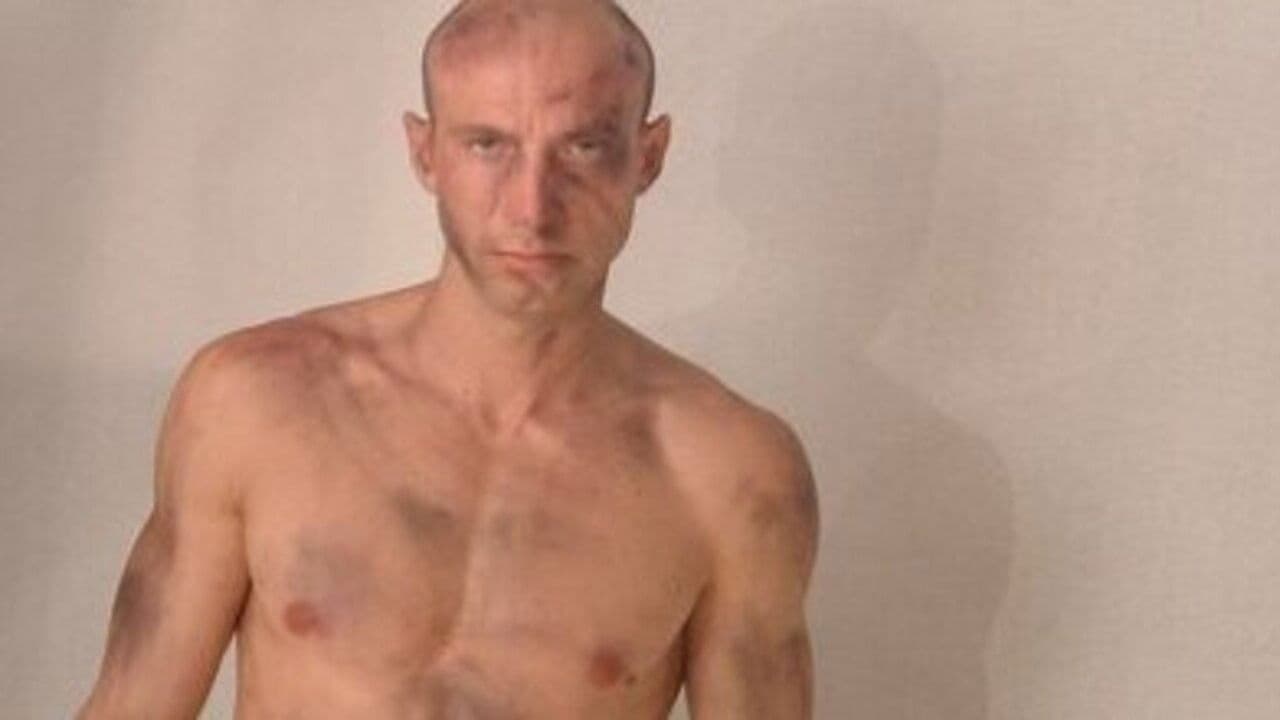 Il colore del silenzioの背景画像