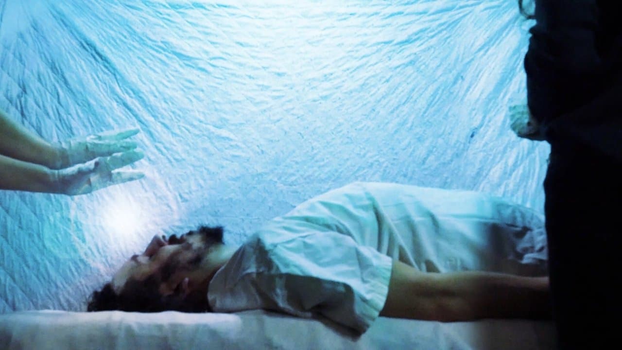 No creas todo lo que te diganの背景画像