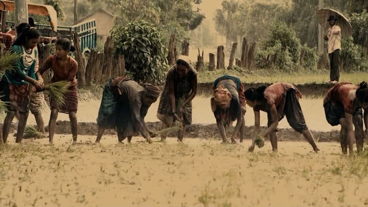 धुवानीの背景画像