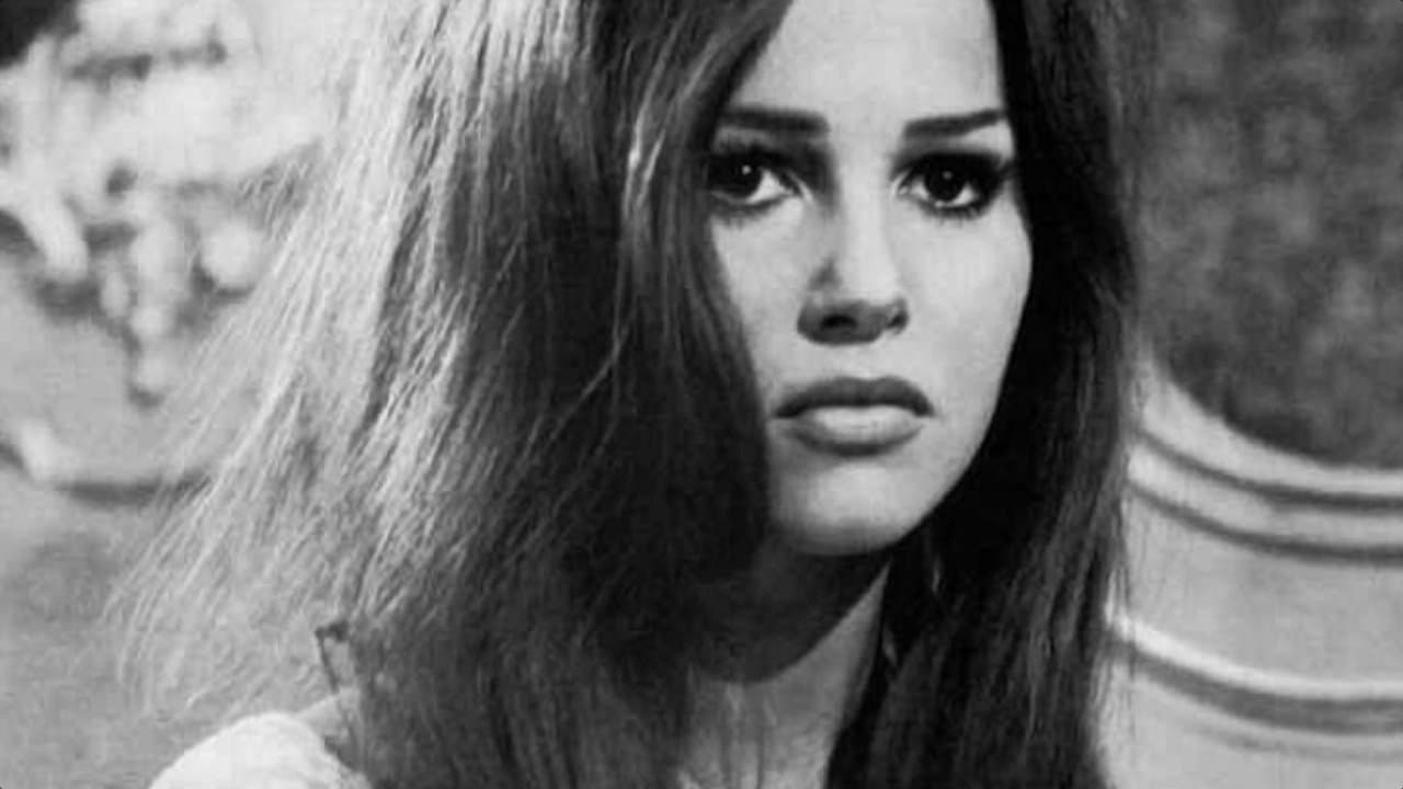 The Alley Catsの背景画像