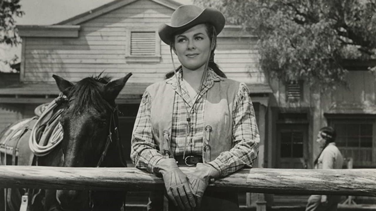 The Oklahomanの背景画像