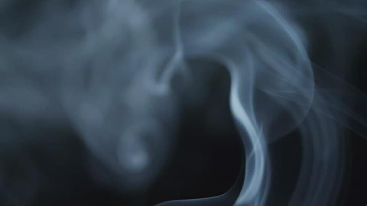 The Cannabis Questionの背景画像