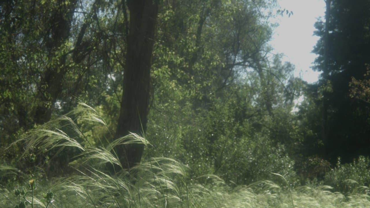 El caminoの背景画像