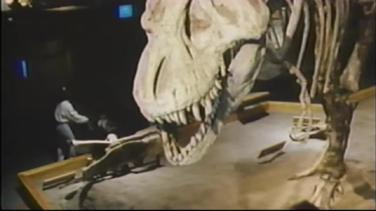 The Real Jurassic Parkの背景画像