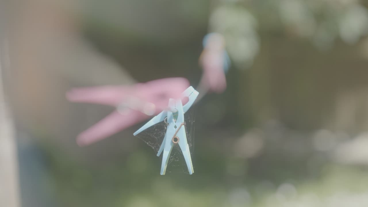 Playing Houseの背景画像