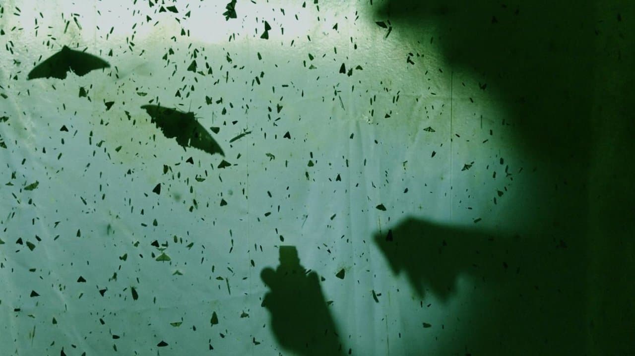 Los últimosの背景画像