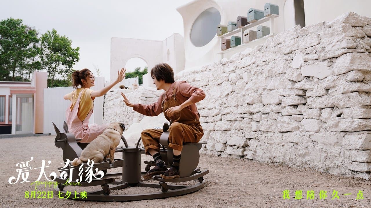 爱犬奇缘の背景画像